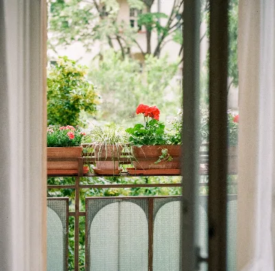 Lomo 800 · Berlin · 2019 · 3