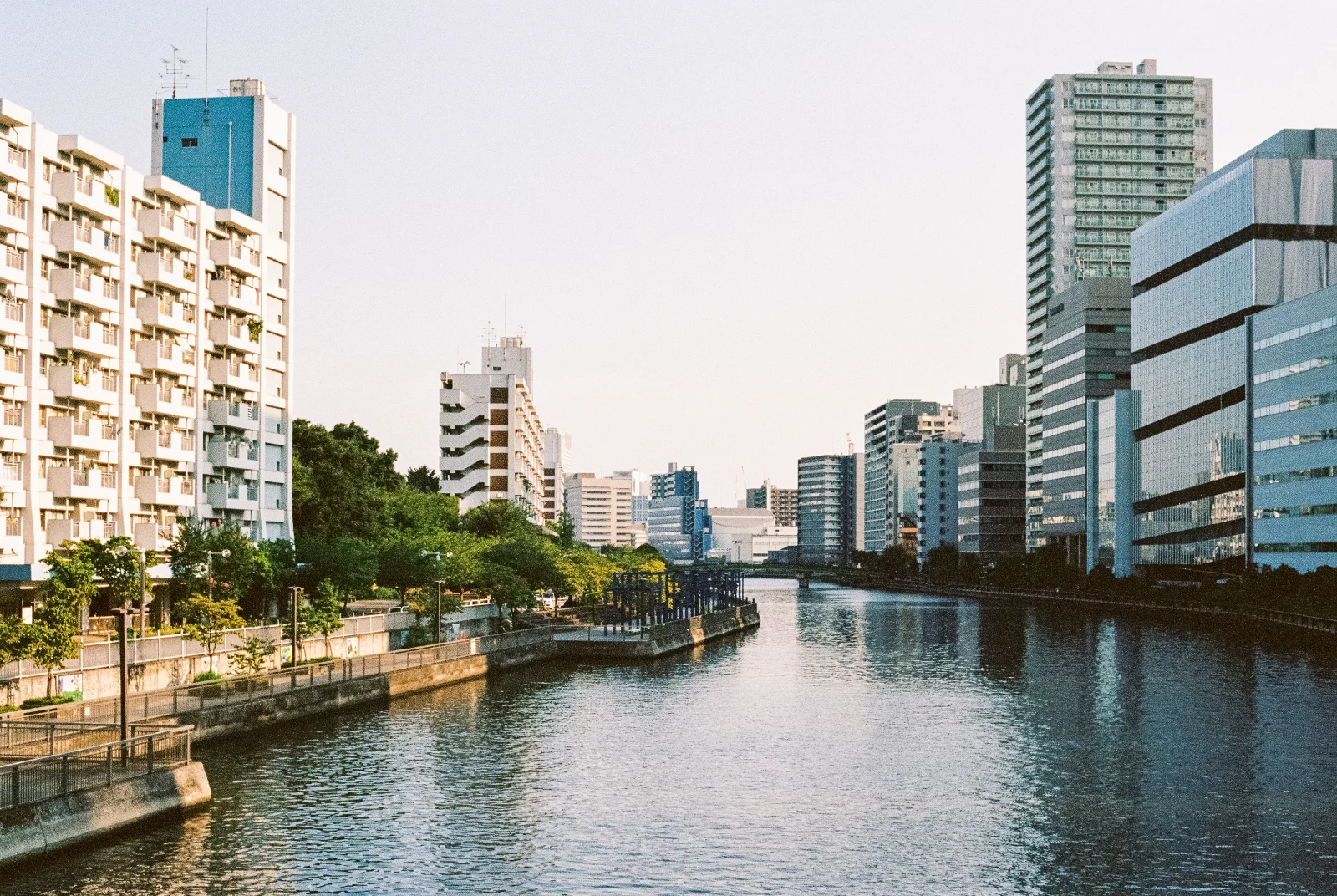 Portra 400 · Tokyo · 2019 · 4