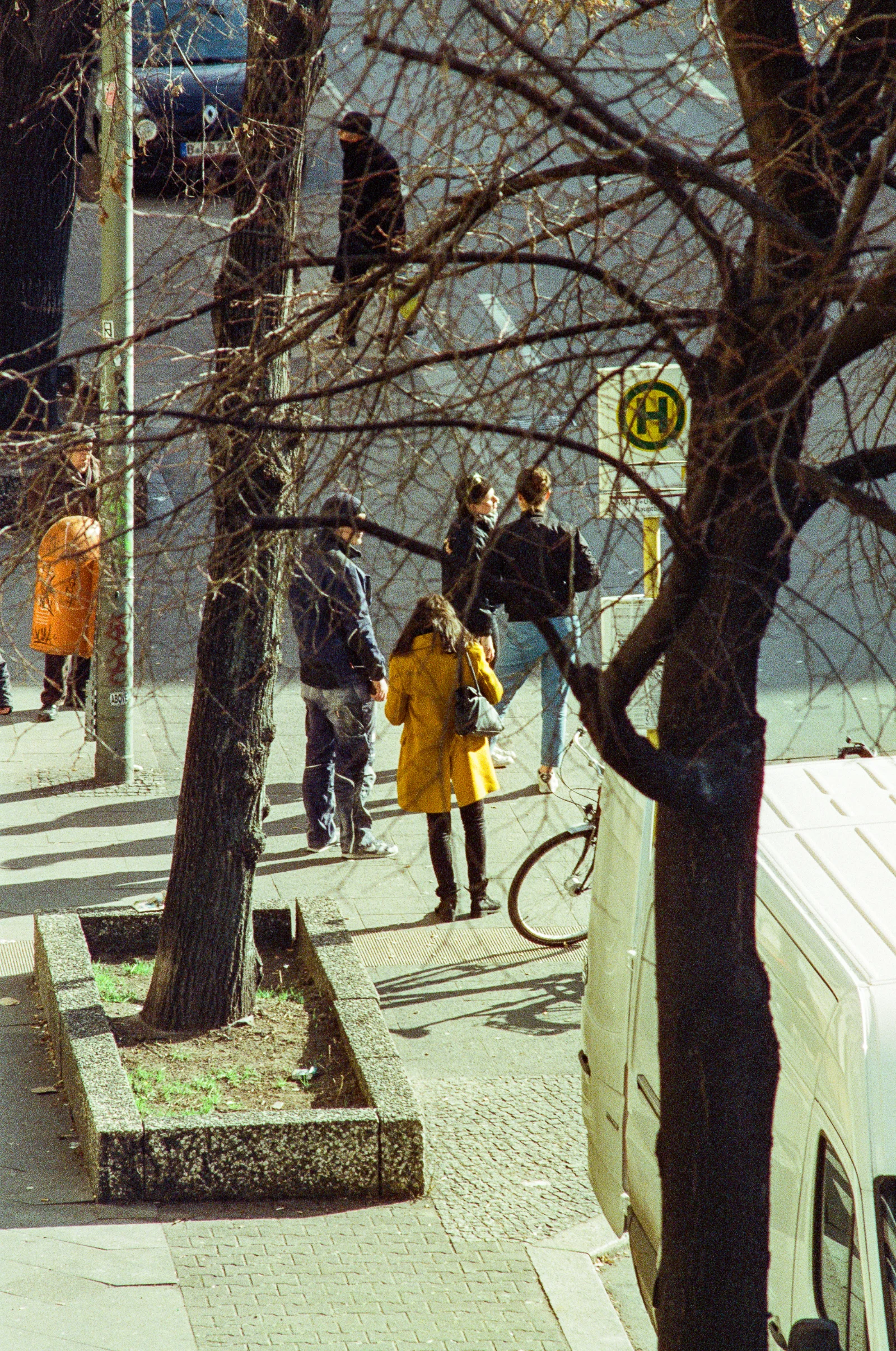 Cinestill 800T · Berlin · 2019 · 8