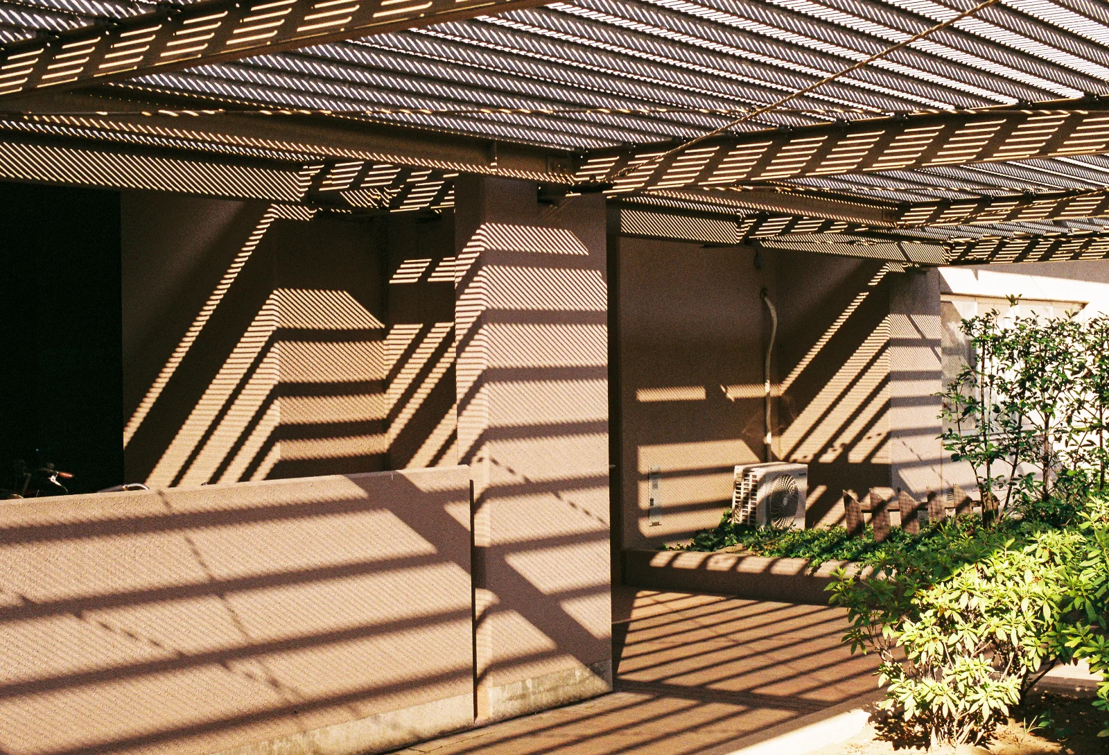 Fuji C200 · Tokyo · 2019 · 9