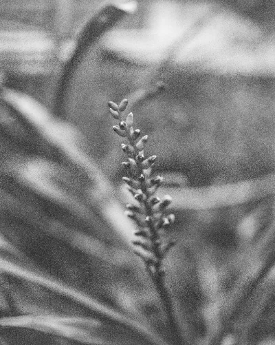 XP2 · Berlin · 2019 · 7