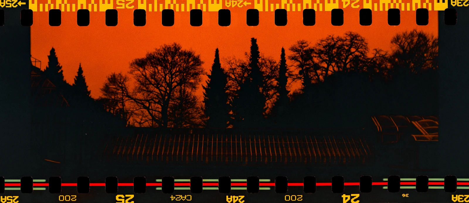 Fuji C200 (reversed/redscale) · Berlin · 2019 · 3