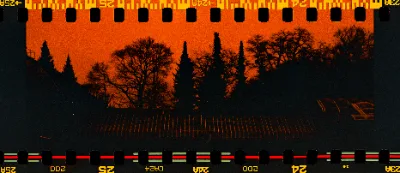 Fuji C200 (reversed/redscale) · Berlin · 2019 · 3