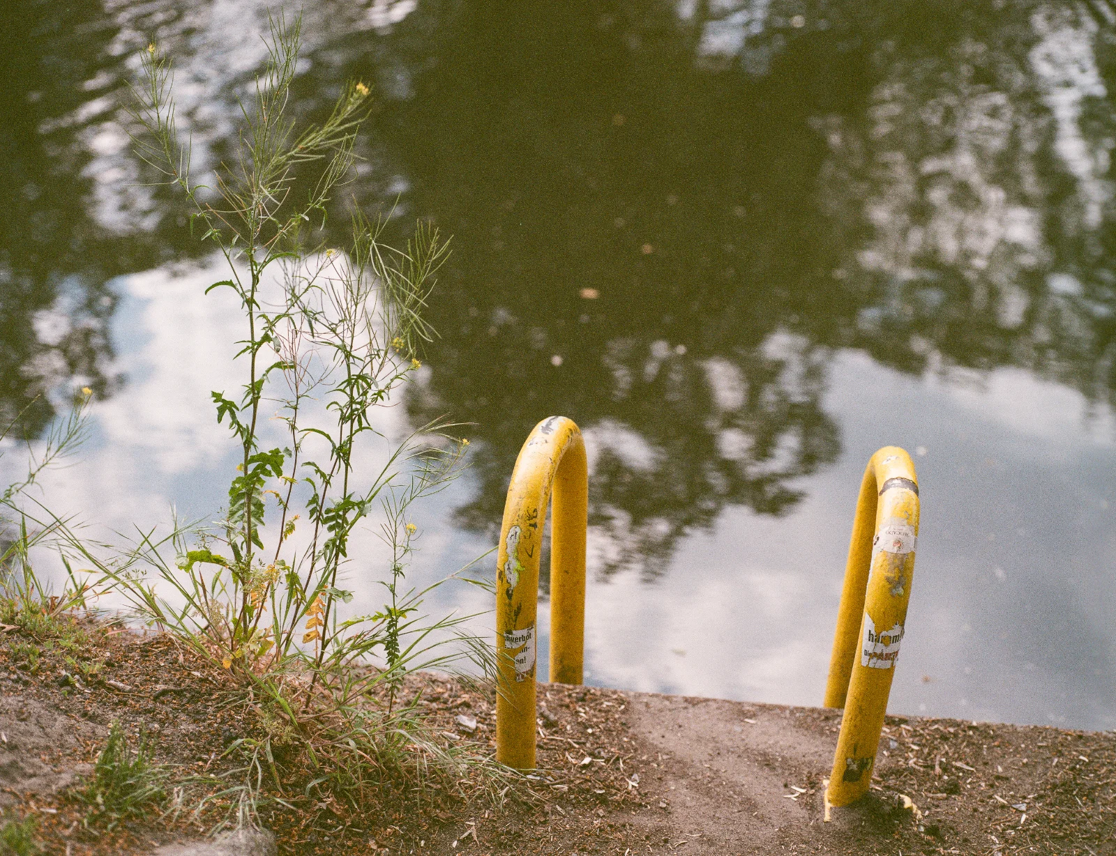 Kodak Vericolor III (expired) · Berlin · 2019 · 3