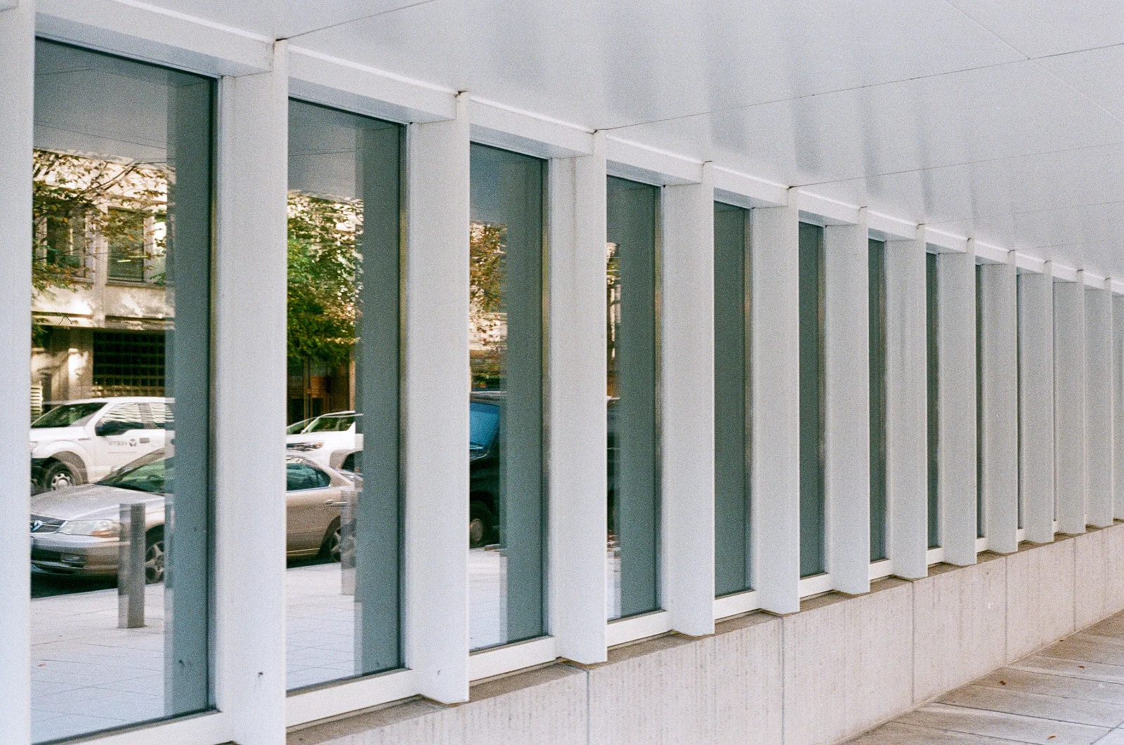 Fuji C200 · DC · 2019 · 3