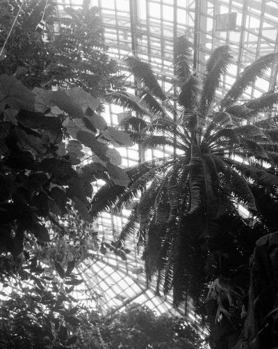 XP2 · Berlin · 2019 · 5