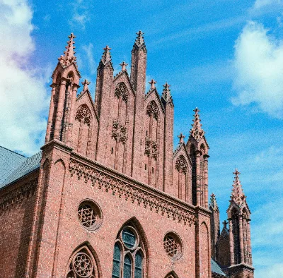 Fuji NPS 160 (expired) · Brandenburg · 2019 · 3