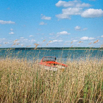 Lomo 400 · Brandenburg · 2019 · 2