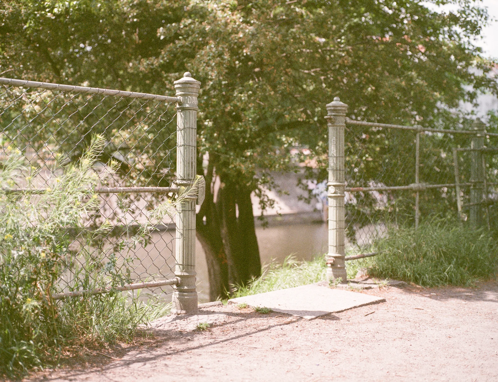 Kodak Vericolor III (expired) · Berlin · 2019 · 4