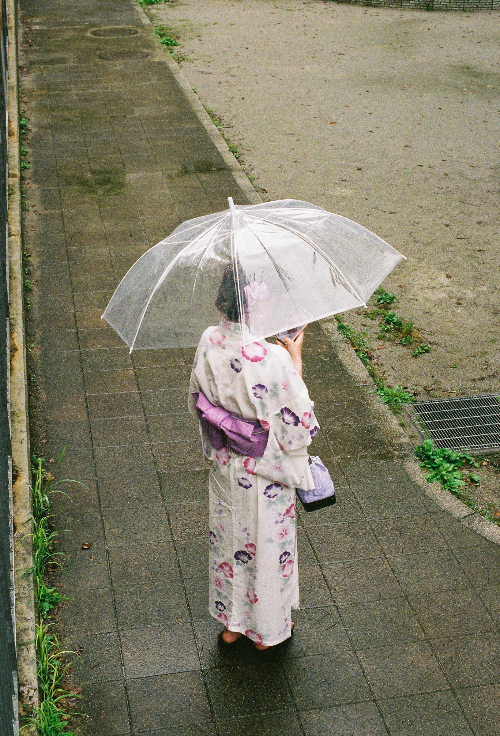 Superia Venus 800 · Tokyo · 2019 · 11